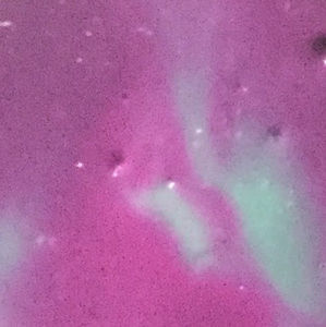 Meet your Posher, Lily